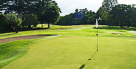 Ayr Golf Club