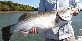 Barra Fishing